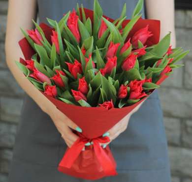 Букет из 21 красного тюльпана в упаковке